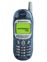 Best available price of Motorola T190 in Sierraleone