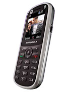 Best available price of Motorola WX288 in Sierraleone